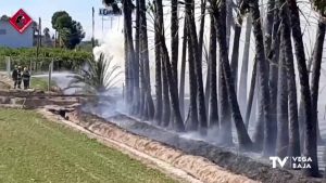 Nuevo incendio de vegetación en la Vega Baja: el fuego alcanza unas palmeras en Almoradí