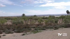 Placas fotovoltaicas abaratarán el coste del agua para regar el campo de La Murada