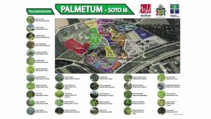 El "Palmetum" de Orihuela vuelve a contar con el respaldo de la Universidad Miguel Hernández