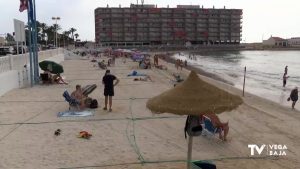 Torrevieja pretende que sus playas vuelvan a contar con parcelas este verano