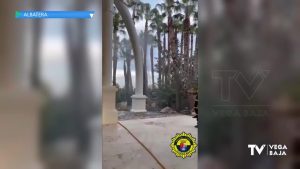 El fuego en una palmera, a punto de poner en peligro el Parque de la Huerta de Albatera