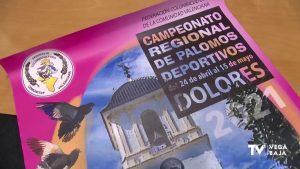 Dolores acogerá del 24 de abril al 15 de mayo el Campeonato Regional de Palomos Deportivos 2021