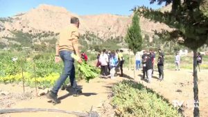 El Colegio Diocesano San José Obrero de Orihuela trabaja con invernadero y huerto escolar