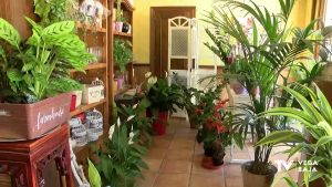 Librerías, floristerías, peluquerías y tiendas de muebles recibirán ayudas a raíz de la pandemia