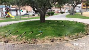 Arrancan las plantas recién colocadas en la Plaza Francisco Ferrer de Redován