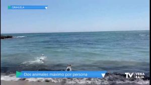 Orihuela Costa cumple una demanda histórica autorizando una playa canina en su litoral