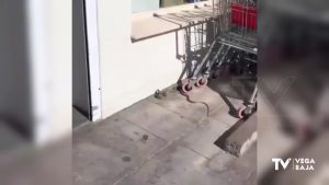 Una serpiente a las puertas de un supermercado