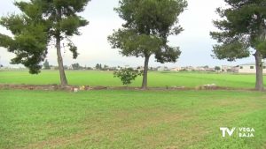 El proyecto de una planta de energía fotovoltaica amenaza la huerta tradicional de la comarca