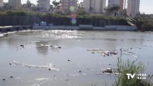 La "gestión negligente" del río Segura en Guardamar llega a las Cortes Valencianas