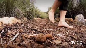 Andar descalzo por el área natural de Río Seco en Pinar de Campoverde ya es posible