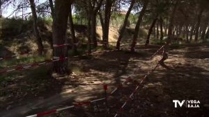 El paraje La Pilarica acoge el Campeonato Autonómico XC “Villa de Benejúzar”