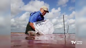 Los barcos de sal cuajan en la laguna rosa de Torrevieja un año más