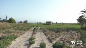 San Isidro comenzará unas segundas excavaciones en el campo de concentración