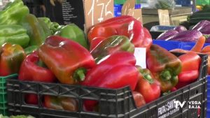 Una alimentación saludable en verano es posible