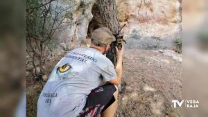 Orihuela desarrolla un programa de voluntariado para evitar incendios forestales en su sierra