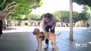 Almoradí apuesta por el proyecto “Avanza-dogs” para los adolescentes en situación de vulnerabilidad