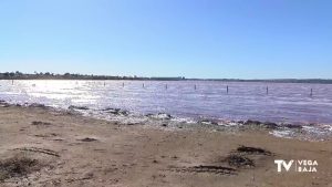 La laguna de La Mata aumenta su nivel 8 centímetros debido a las últimas lluvias