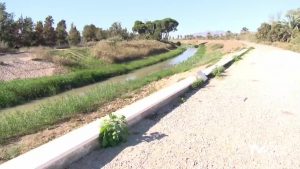 Se retiran las multas al Sindicato de Aguas de San Fulgencio por orden judicial