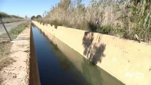 Ecologistas de la Vega Baja piden a la CHS la renaturalización de la red de azarbes y acequias