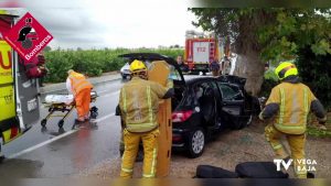 Un coche impacta contra un árbol en la CV-95 y una joven es atropellada en Catral
