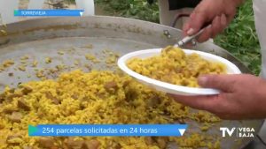 Los torrevejenses solicitan en 24 horas más de la mitad de parcelas ofrecidas para el día de paellas