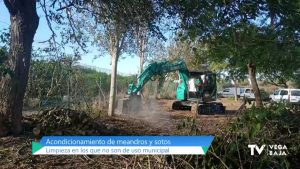 Se retira vegetación y basura de antiguos meandros y sotos de la Vega Baja