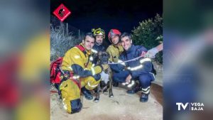 Los bomberos rescatan a un perro en una balsa de riego de Orihuela