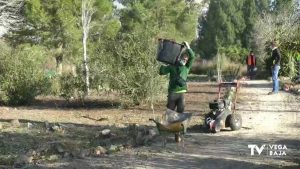 Comienza el Plan de Actuación y Mantenimiento en el soto del río del "Molino de la Ciudad"