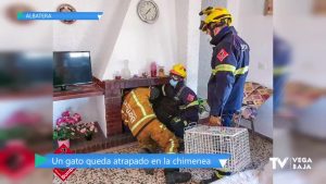 Los bomberos rescatan a un gato atrapado en una chimenea de Albatera