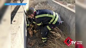 Los bomberos rescatan a una perra en un canal de riego