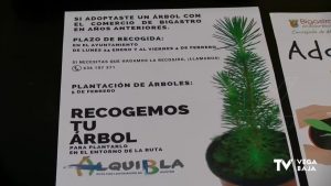 Bigastro apadrina pinos con motivo de la celebración del Día del Árbol