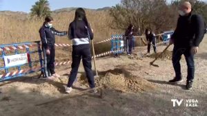 Orihuela celebra el “Día del Árbol” con la plantación de un centenar ejemplares en el Molino