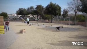 Primeros días en el parque canino de San Fulgencio