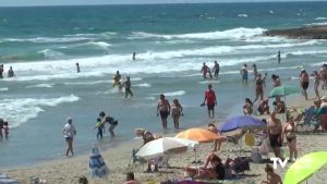 Se protegen las dunas de Cala Bosque, Mil Palmeras y la Glea (Orihuela Costa)