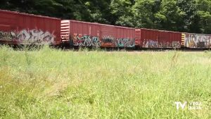 422 delitos por grafittis en trenes: Orihuela, entre las ciudades donde se han producido detenciones