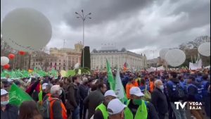 Agricultores y ganaderos protestan en Madrid en defensa del mundo rural