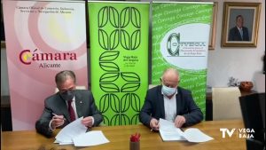 La Cámara de Comercio de Alicante se incorpora a la Marca Territorio Vega Baja del Segura