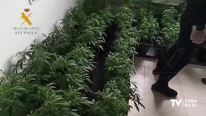 Detenidas tres personas por enviar marihuana al extranjero mediante paquetería postal