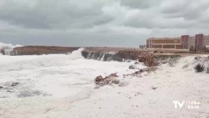 El viento se ceba con la costa: mar embravecido en Torrevieja y caída de palmeras en Guardamar