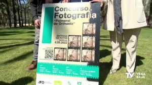 Llega el I Concurso de Fotografía “Palmeral de Orihuela”