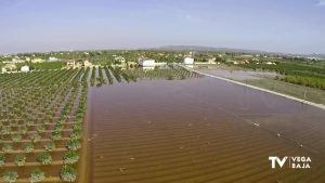 La CHS insiste en que las actuaciones previstas en la Vega Baja se ejecutarán sin imposiciones