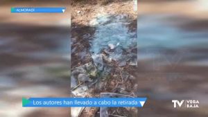 Vertido incontrolado de cristales en el Camino de la Acequia del Río