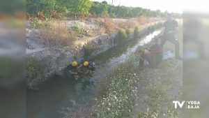 Los bomberos rescatan a más de 300 animales en la provincia desde que empezó 2022