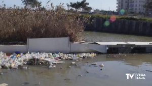 El Plan Vega Renhace debate sobre el desagüe en la desembocadura del río Segura