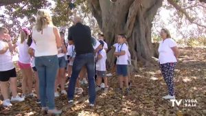 Los niños almoradidenses se acercan al mítico árbol de los Mazones