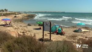 La playa canina de Torrevieja, desmantelada