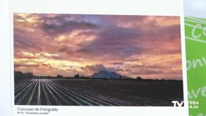 CONVEGA entrega en Torrevieja los premios de fotografía relacionados con la huerta y el mar