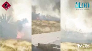 Aparatoso incendio de vegetación en Albatera próximo a una zona de viviendas