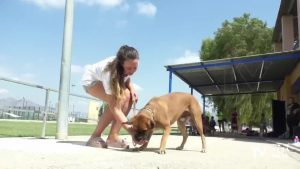 Niños y niñas de la Escuela de Verano de Bigastro aprenden a cuidar y respetar a los animales