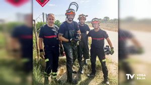 Los bomberos rescatan en Almoradí a un perro atrapado en una tubería